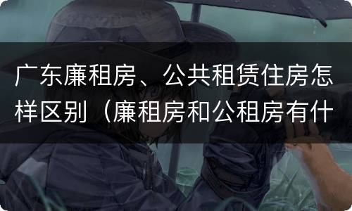 广东廉租房、公共租赁住房怎样区别（廉租房和公租房有什么区别广州）