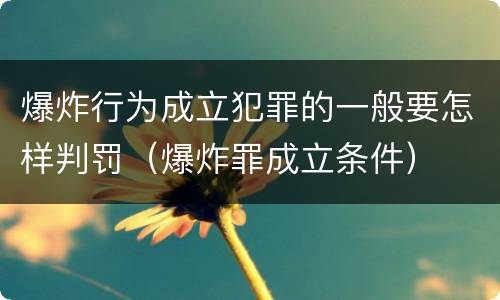 爆炸行为成立犯罪的一般要怎样判罚（爆炸罪成立条件）