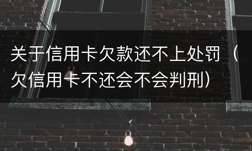 关于信用卡欠款还不上处罚（欠信用卡不还会不会判刑）