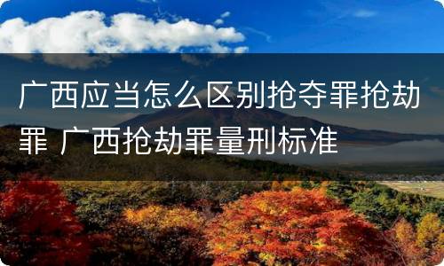 广西应当怎么区别抢夺罪抢劫罪 广西抢劫罪量刑标准