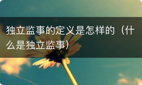 独立监事的定义是怎样的（什么是独立监事）