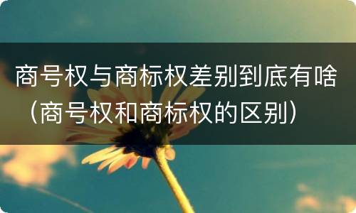 商号权与商标权差别到底有啥（商号权和商标权的区别）