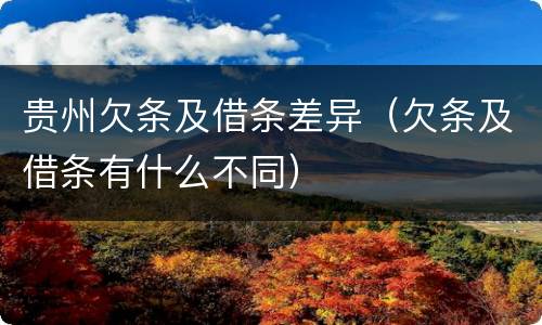 贵州欠条及借条差异（欠条及借条有什么不同）