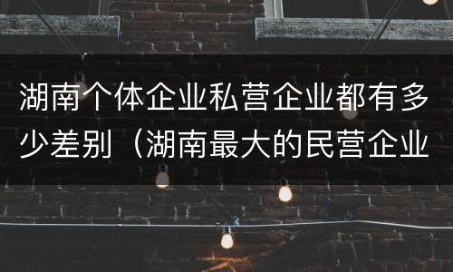 湖南个体企业私营企业都有多少差别（湖南最大的民营企业）