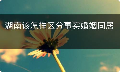 湖南该怎样区分事实婚姻同居
