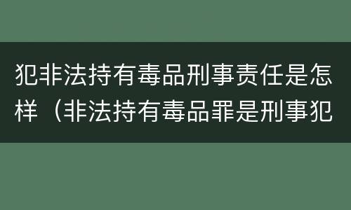 犯非法持有毒品刑事责任是怎样（非法持有毒品罪是刑事犯罪吗）