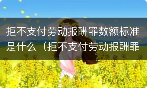 拒不支付劳动报酬罪数额标准是什么（拒不支付劳动报酬罪立案标准）