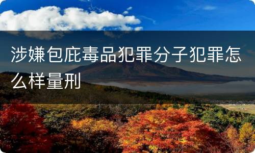 涉嫌包庇毒品犯罪分子犯罪怎么样量刑