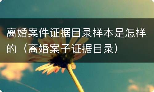 离婚案件证据目录样本是怎样的（离婚案子证据目录）