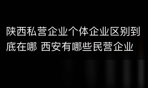 陕西私营企业个体企业区别到底在哪 西安有哪些民营企业