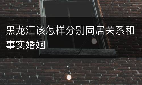 黑龙江该怎样分别同居关系和事实婚姻