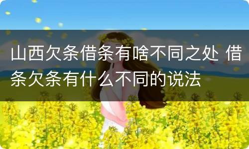 山西欠条借条有啥不同之处 借条欠条有什么不同的说法
