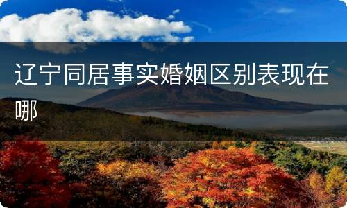 辽宁同居事实婚姻区别表现在哪