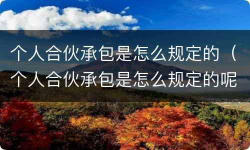 个人合伙承包是怎么规定的（个人合伙承包是怎么规定的呢）