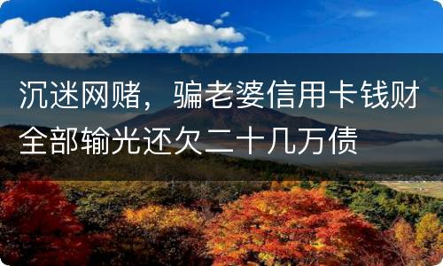 沉迷网赌，骗老婆信用卡钱财全部输光还欠二十几万债