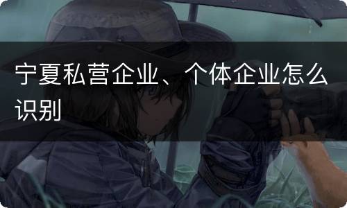 宁夏私营企业、个体企业怎么识别