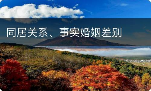同居关系、事实婚姻差别