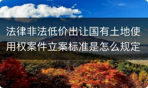 法律非法低价出让国有土地使用权案件立案标准是怎么规定