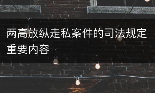 两高放纵走私案件的司法规定重要内容