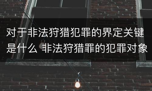 对于非法狩猎犯罪的界定关键是什么 非法狩猎罪的犯罪对象是