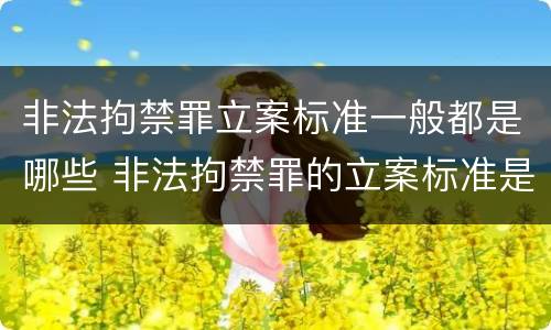 非法拘禁罪立案标准一般都是哪些 非法拘禁罪的立案标准是什么?