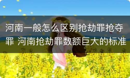 河南一般怎么区别抢劫罪抢夺罪 河南抢劫罪数额巨大的标准