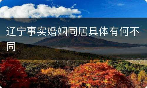 辽宁事实婚姻同居具体有何不同