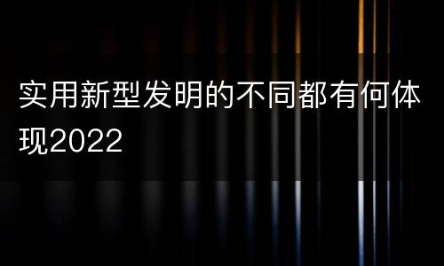 实用新型发明的不同都有何体现2022