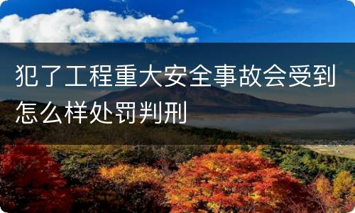 犯了工程重大安全事故会受到怎么样处罚判刑