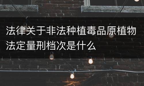 法律关于非法种植毒品原植物法定量刑档次是什么