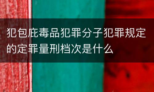 犯包庇毒品犯罪分子犯罪规定的定罪量刑档次是什么