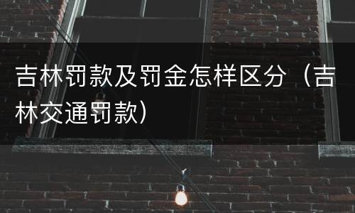 吉林罚款及罚金怎样区分（吉林交通罚款）