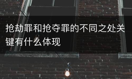 抢劫罪和抢夺罪的不同之处关键有什么体现