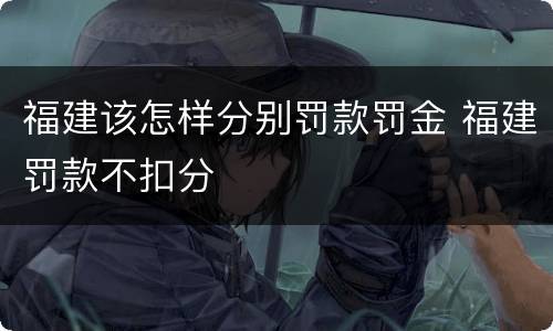 福建该怎样分别罚款罚金 福建罚款不扣分