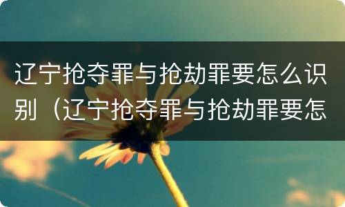 辽宁抢夺罪与抢劫罪要怎么识别（辽宁抢夺罪与抢劫罪要怎么识别认定）