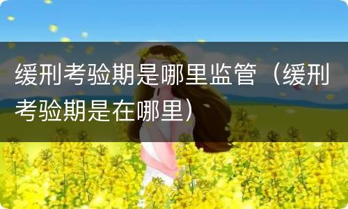 缓刑考验期是哪里监管（缓刑考验期是在哪里）