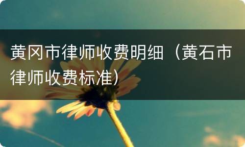 黄冈市律师收费明细（黄石市律师收费标准）