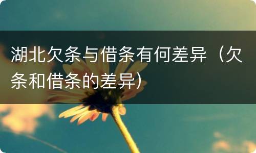 湖北欠条与借条有何差异（欠条和借条的差异）