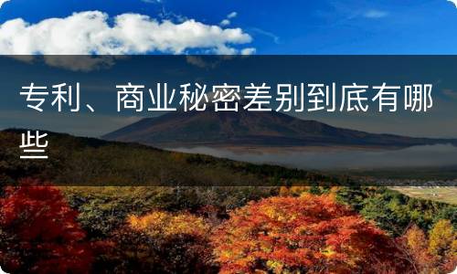 专利、商业秘密差别到底有哪些