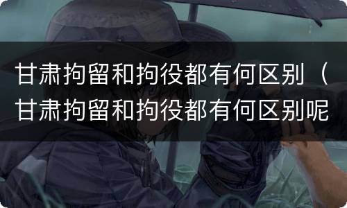 甘肃拘留和拘役都有何区别（甘肃拘留和拘役都有何区别呢）