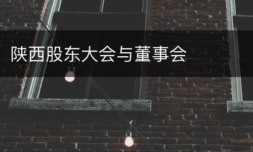 陕西股东大会与董事会