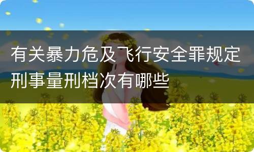 有关暴力危及飞行安全罪规定刑事量刑档次有哪些