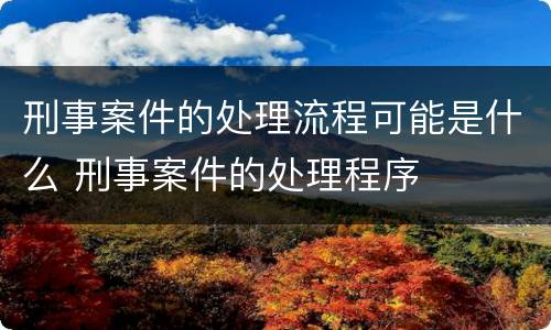 刑事案件的处理流程可能是什么 刑事案件的处理程序