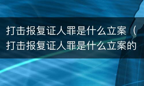 打击报复证人罪是什么立案（打击报复证人罪是什么立案的）