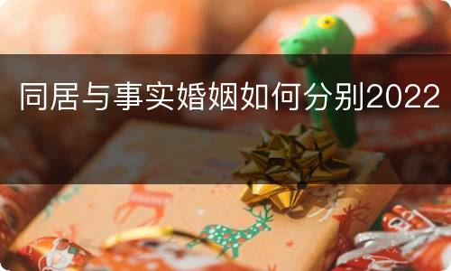 同居与事实婚姻如何分别2022