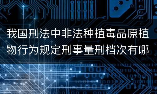 我国刑法中非法种植毒品原植物行为规定刑事量刑档次有哪些