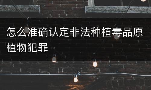 怎么准确认定非法种植毒品原植物犯罪