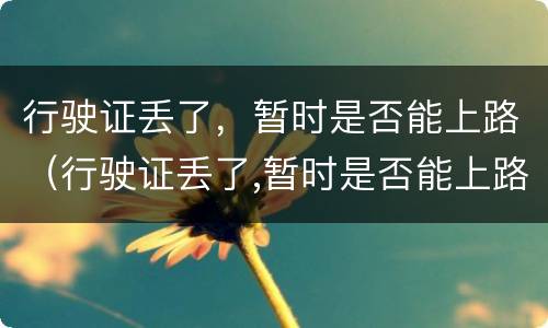 行驶证丢了，暂时是否能上路（行驶证丢了,暂时是否能上路了）