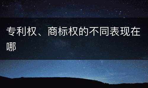 专利权、商标权的不同表现在哪