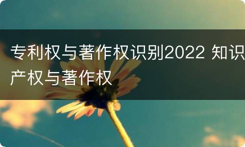 专利权与著作权识别2022 知识产权与著作权